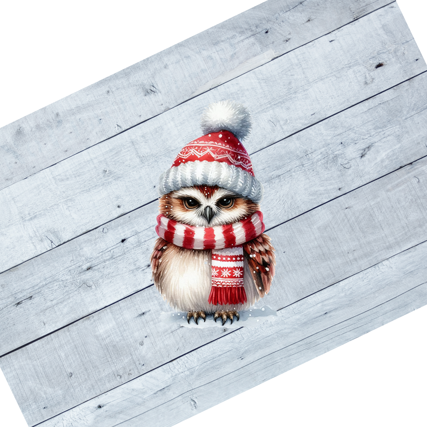 Owl- Red sweater grumpy