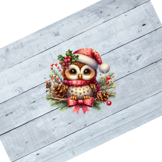 Owl- Red hat perched with bow