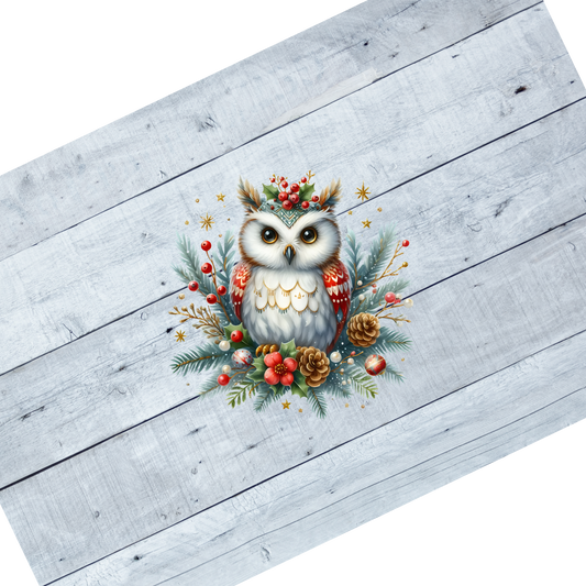 Owl- Red winged, perched with pine cones and holly