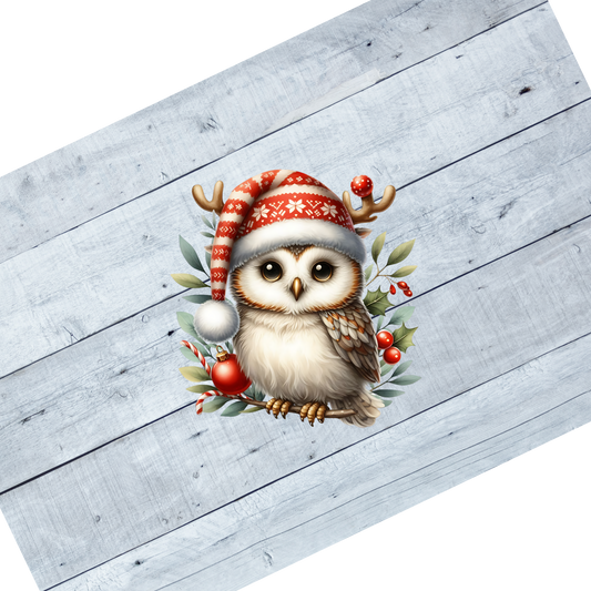 Owl- Red sweater hat with ornament