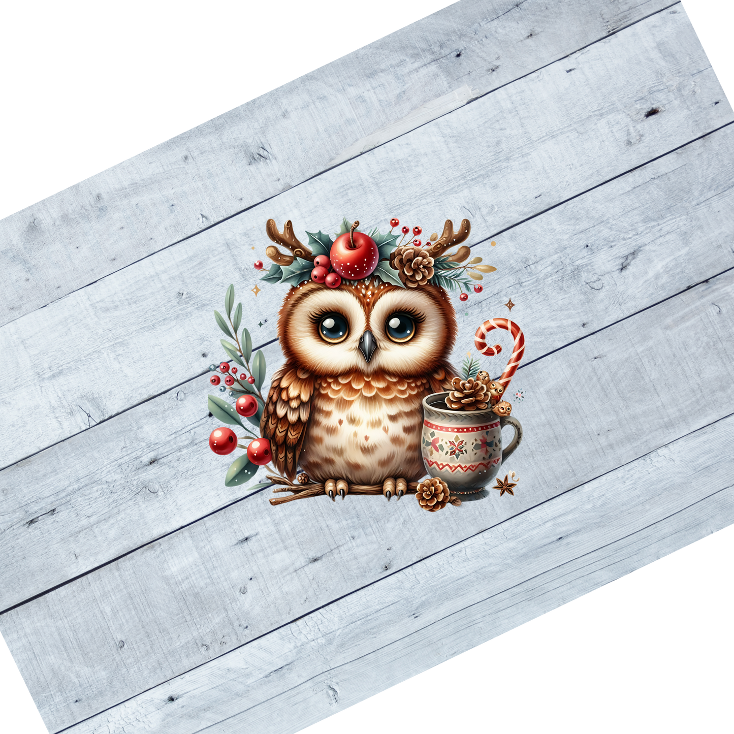 Owl- Hot cocoa and candy cane