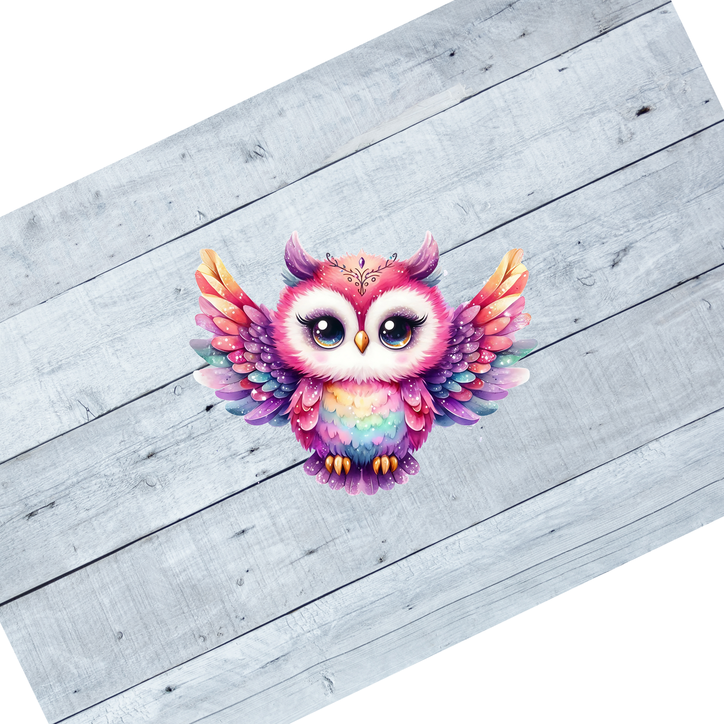 Colorful Owls- CL101