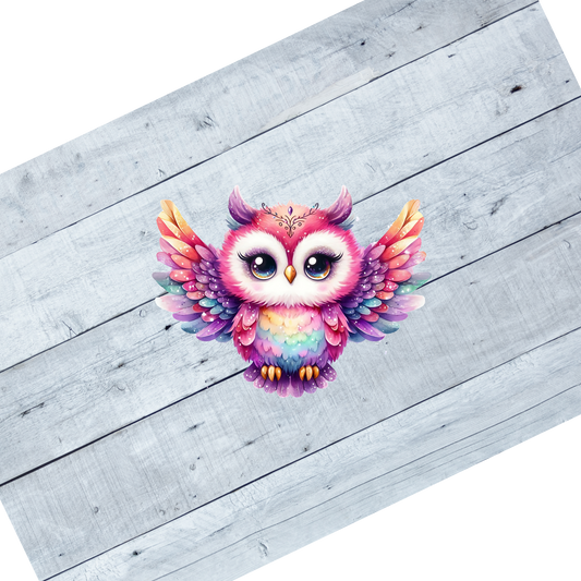 Colorful Owls- CL101