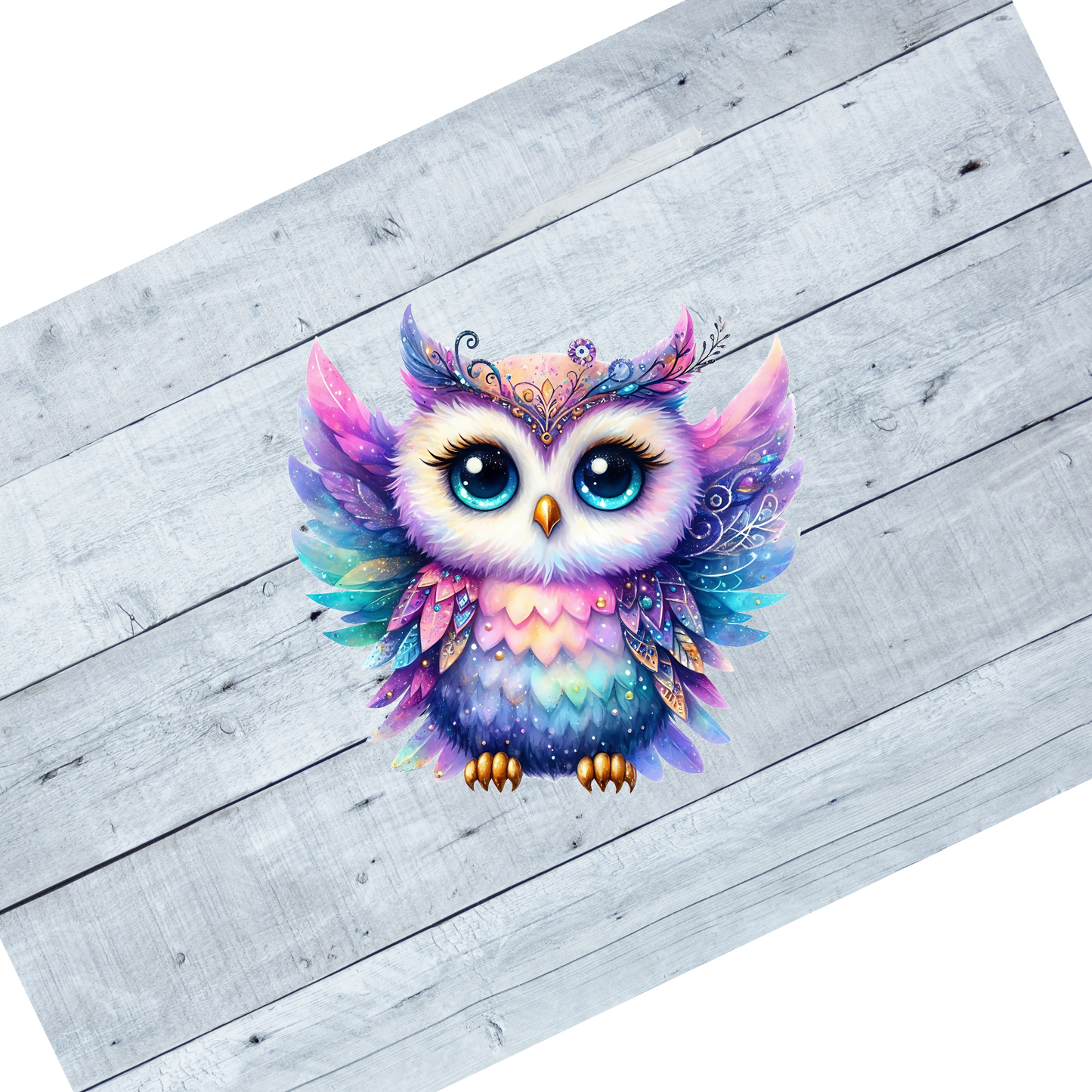 Colorful Owls- CL104