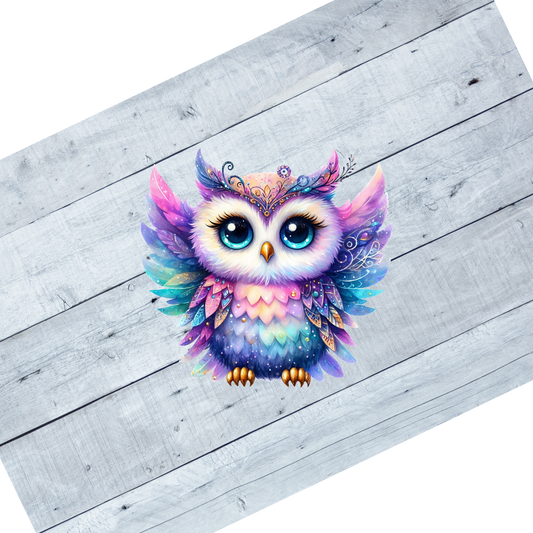 Colorful Owls- CL104