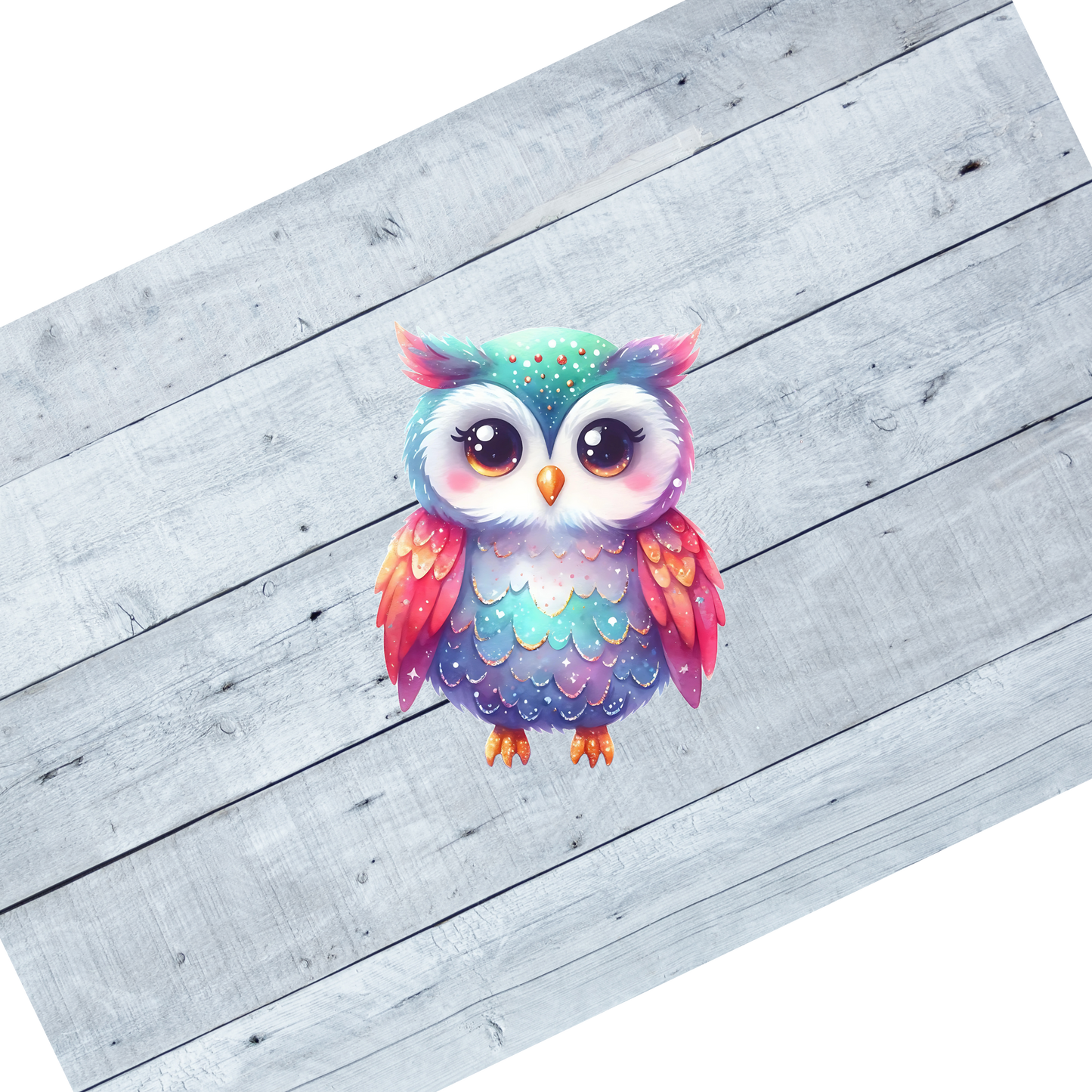 Colorful Owls- CL105