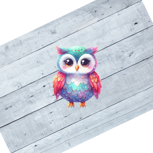 Colorful Owls- CL105