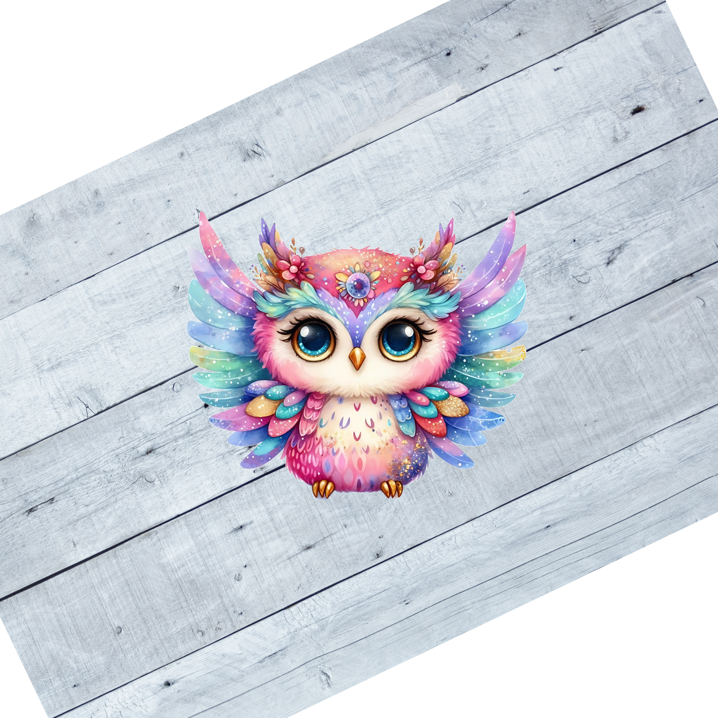 Colorful Owls- CL106