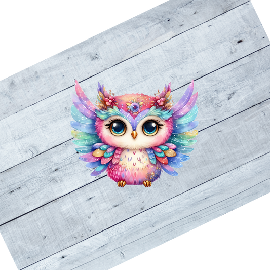 Colorful Owls- CL106