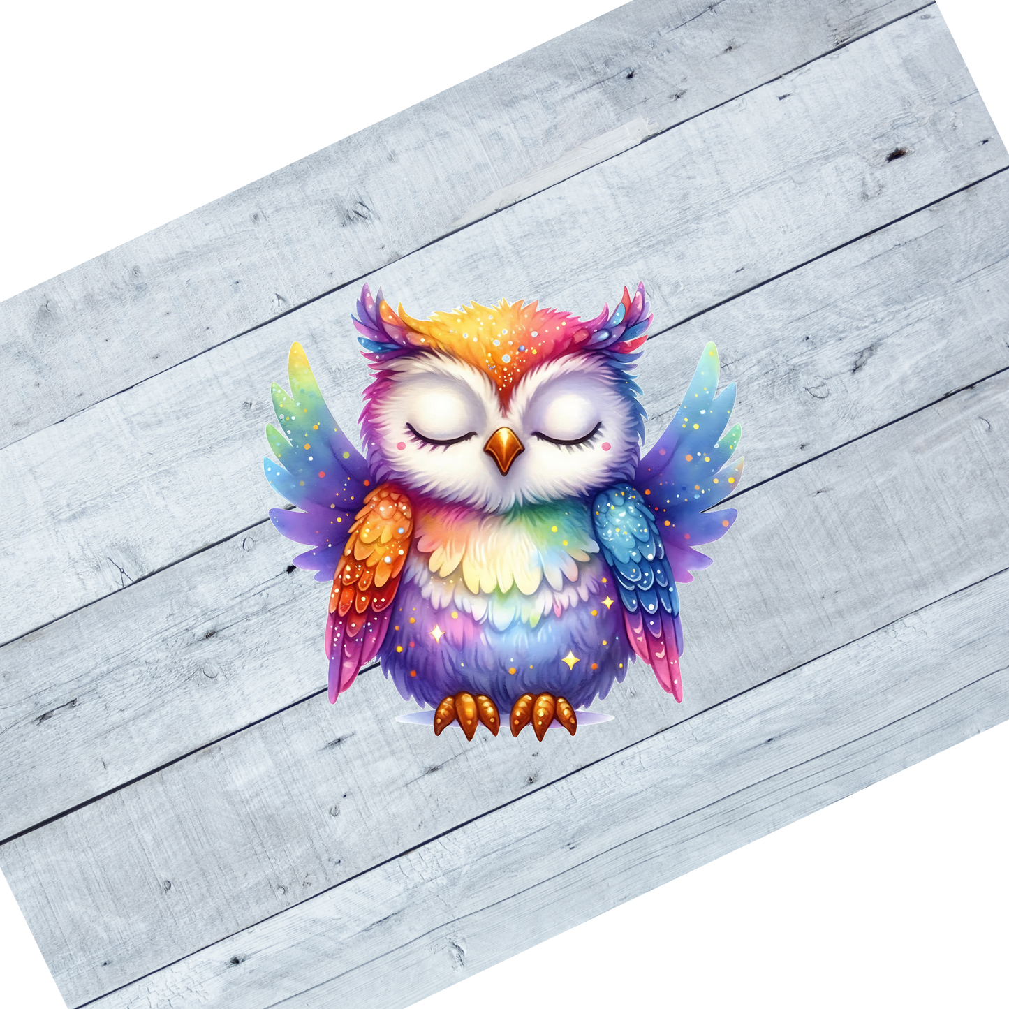 Colorful Owls- CL107