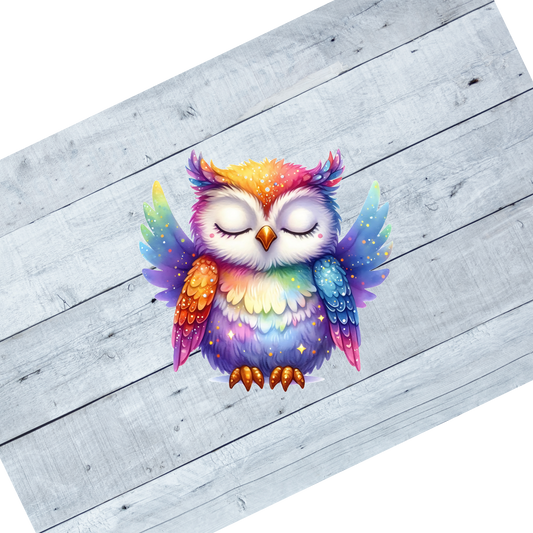 Colorful Owls- CL107