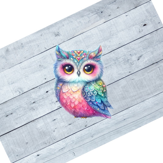 Colorful Owls- CL108