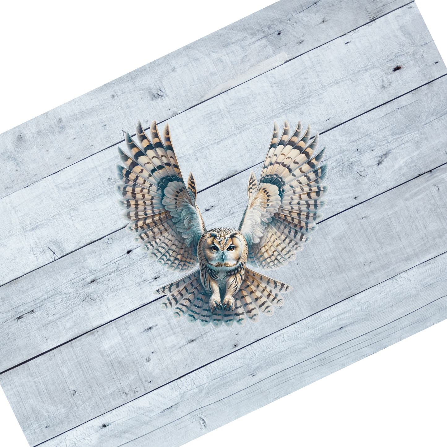 Free Spirit Owls- CL101