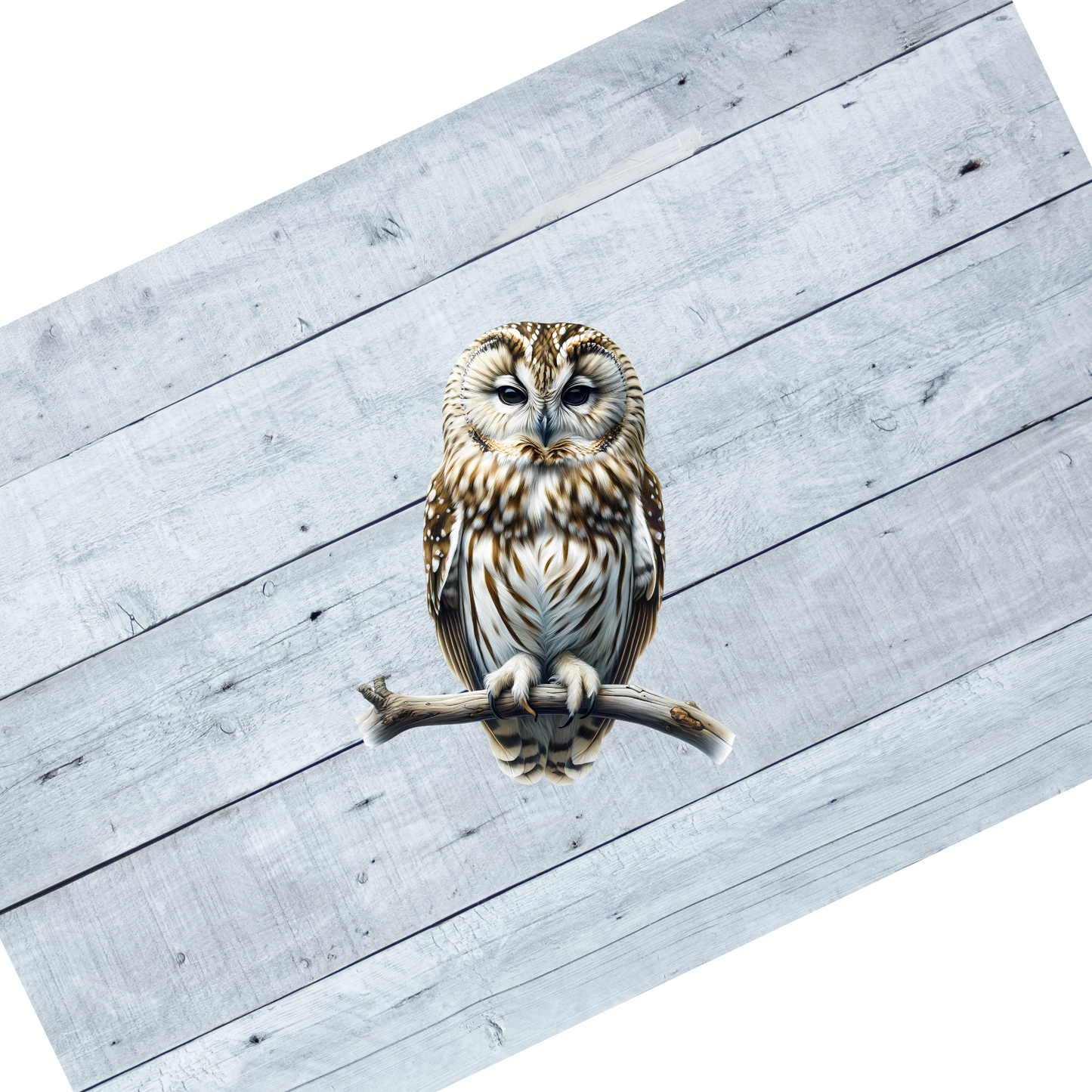 Free Spirit Owls- CL102