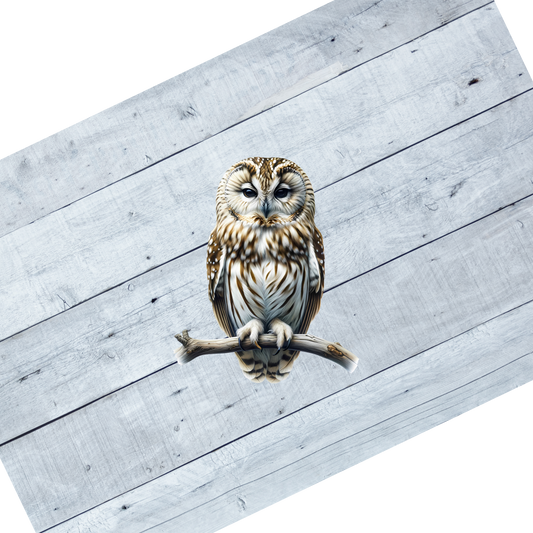 Free Spirit Owls- CL102