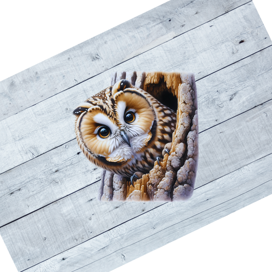 Free Spirit Owls- CL103